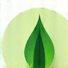 Icône nettoyage écologique, feuille verte